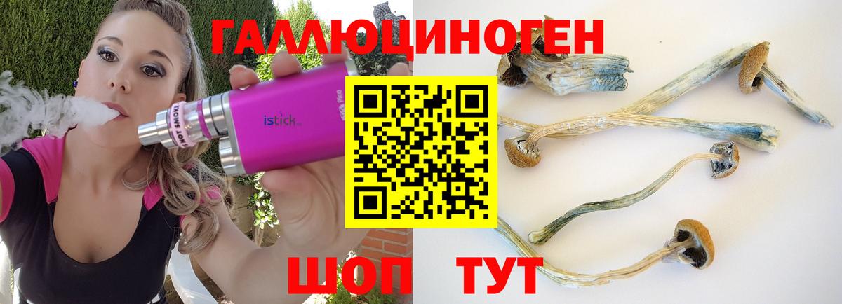 Псилоцибиновые грибы ЛСД Керчь